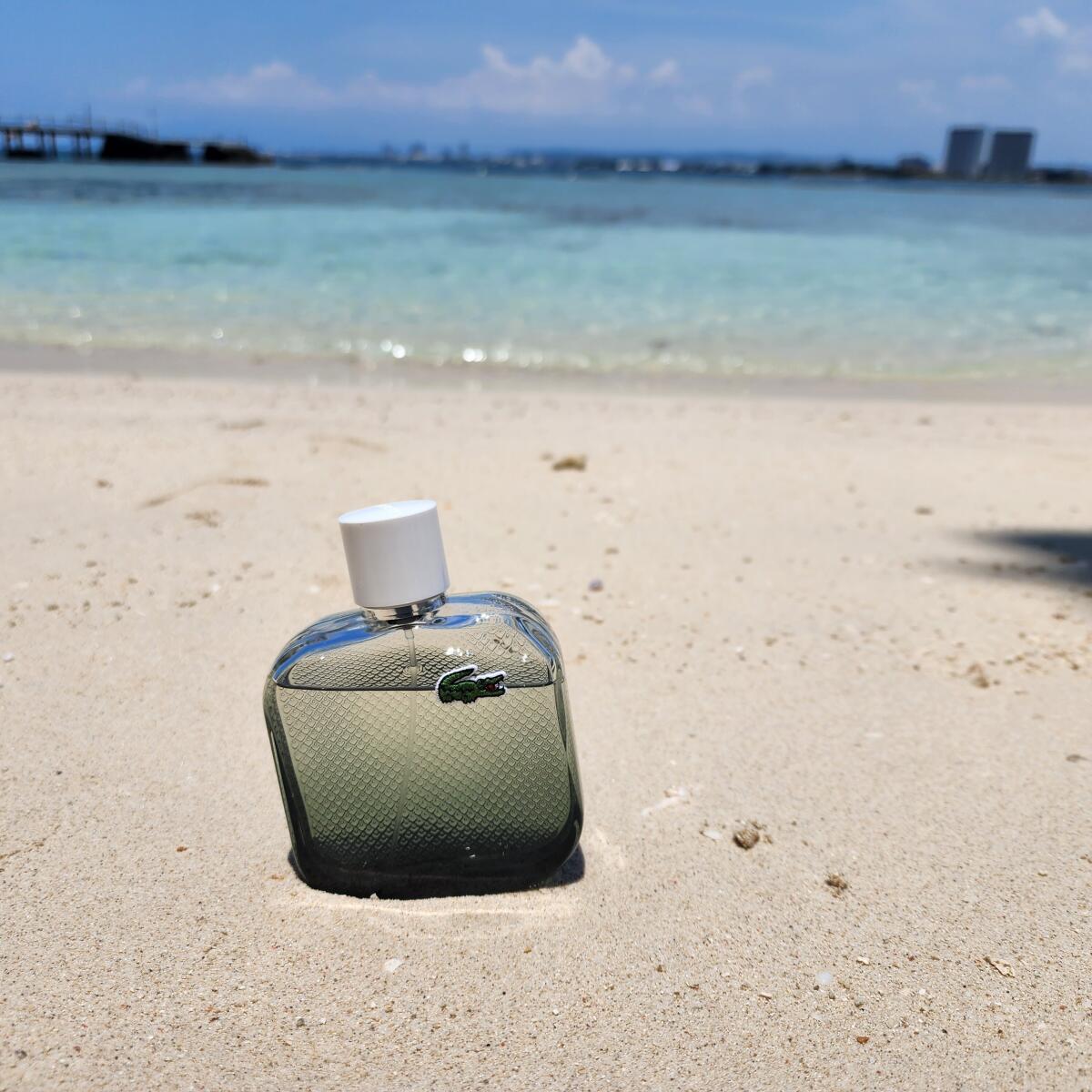 عطر ادکلن ال دوازده دوازده بلانک او اینتنس لاکوست فراگرنسز - L.12.12. Blanc Eau Intense Lacoste Fragrances - بررسی، قیمت و خرید