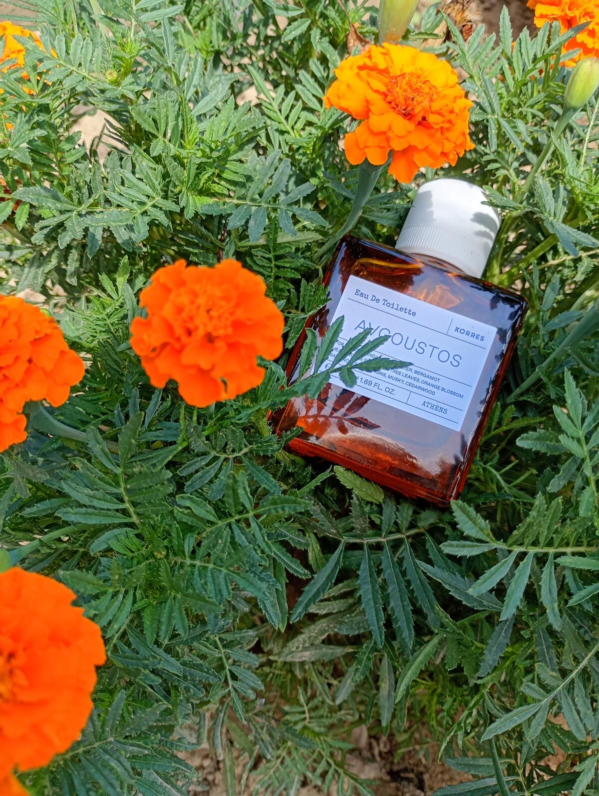 عطر ادکلن آگوستوس کورز - Avgoustos Korres - بررسی، قیمت و خرید