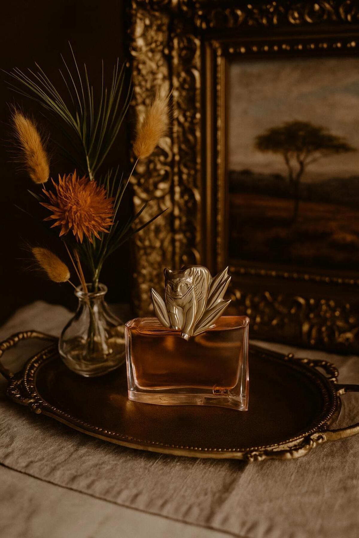 عطر ادکلن کنزو جانگل له تیگر کنزو - Kenzo Jungle le Tigre Kenzo - بررسی، قیمت و خرید