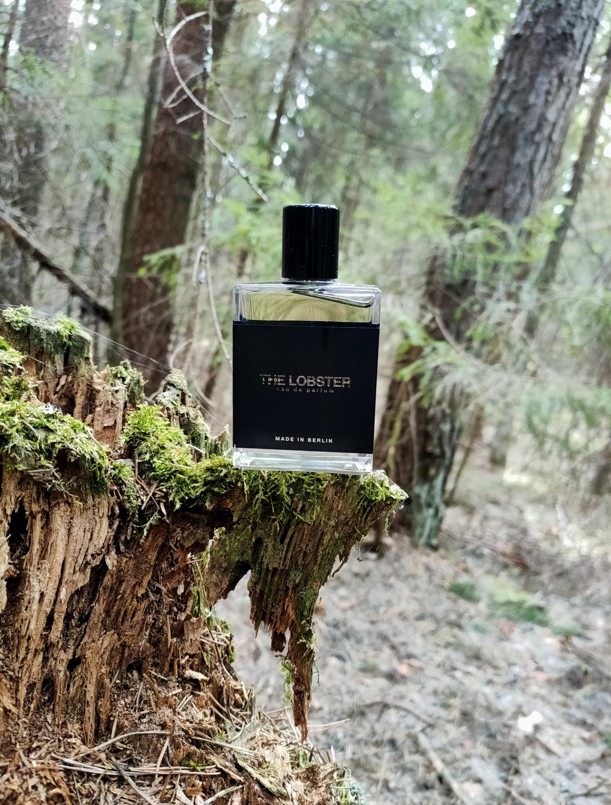 عطر ادکلن د لابستر ماث اند ربت پرفیومز - The Lobster Moth and Rabbit Perfumes - بررسی، قیمت و خرید