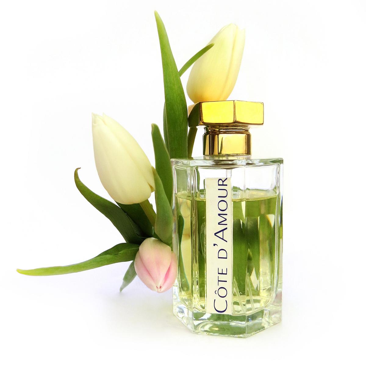 عطر ادکلن کوت دآمور لارتیزان پارفومر - Cote d’Amour L'Artisan Parfumeur - بررسی، قیمت و خرید