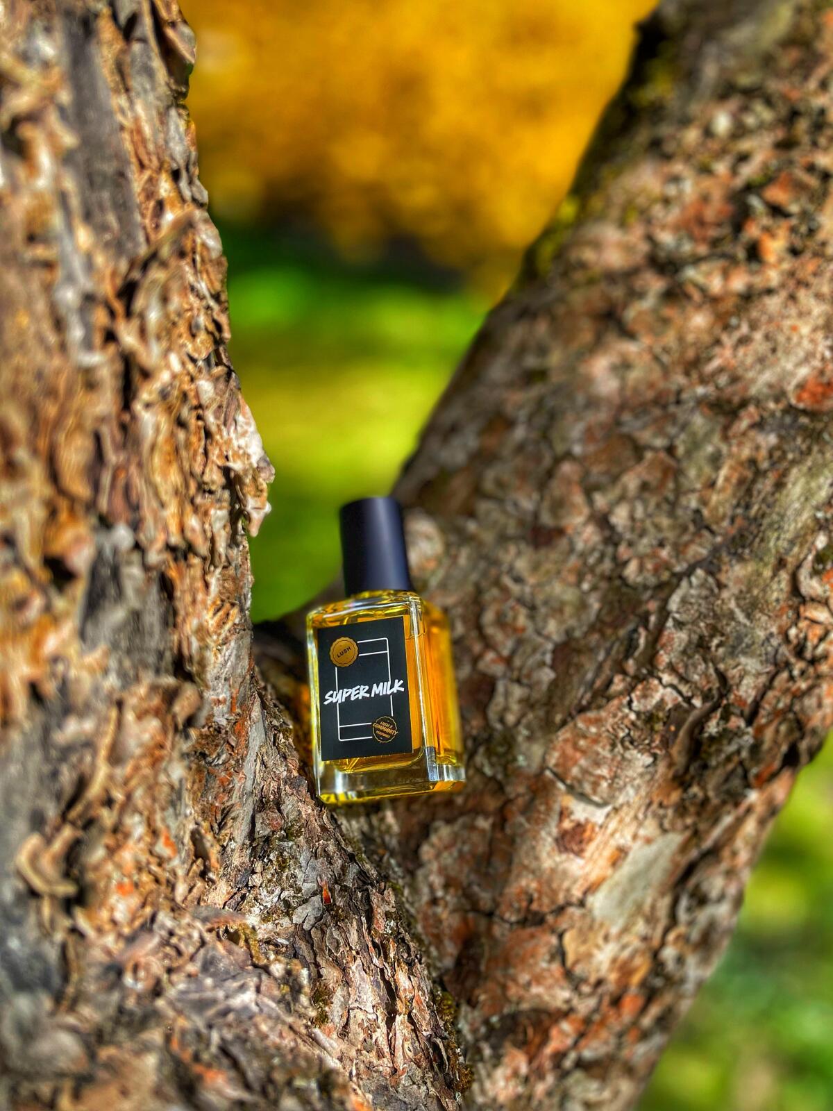 عطر ادکلن سوپر میلک لاش - Super Milk Lush - بررسی، قیمت و خرید