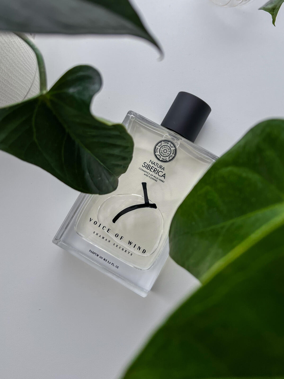 عطر ادکلن وویس آو ویند ناتورا سیبریکا - Voice of Wind Natura Siberica - بررسی، قیمت و خرید