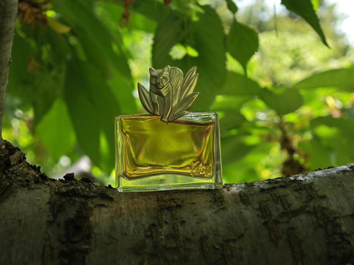 عطر ادکلن کنزو جانگل له تیگر کنزو - Kenzo Jungle le Tigre Kenzo - بررسی، قیمت و خرید