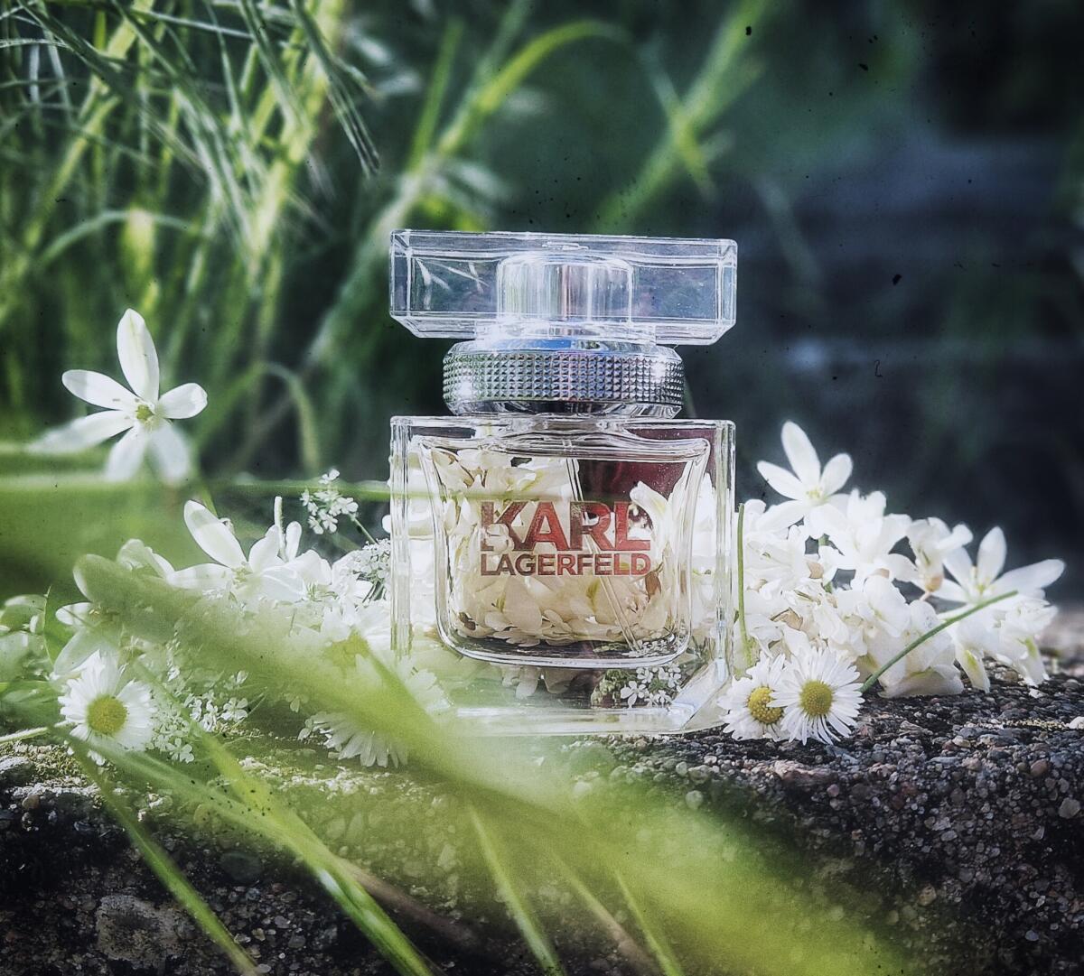 عطر ادکلن کارل لاگرفلد فور هر کارل لاگرفلد - Karl Lagerfeld for Her Karl Lagerfeld - بررسی، قیمت و خرید