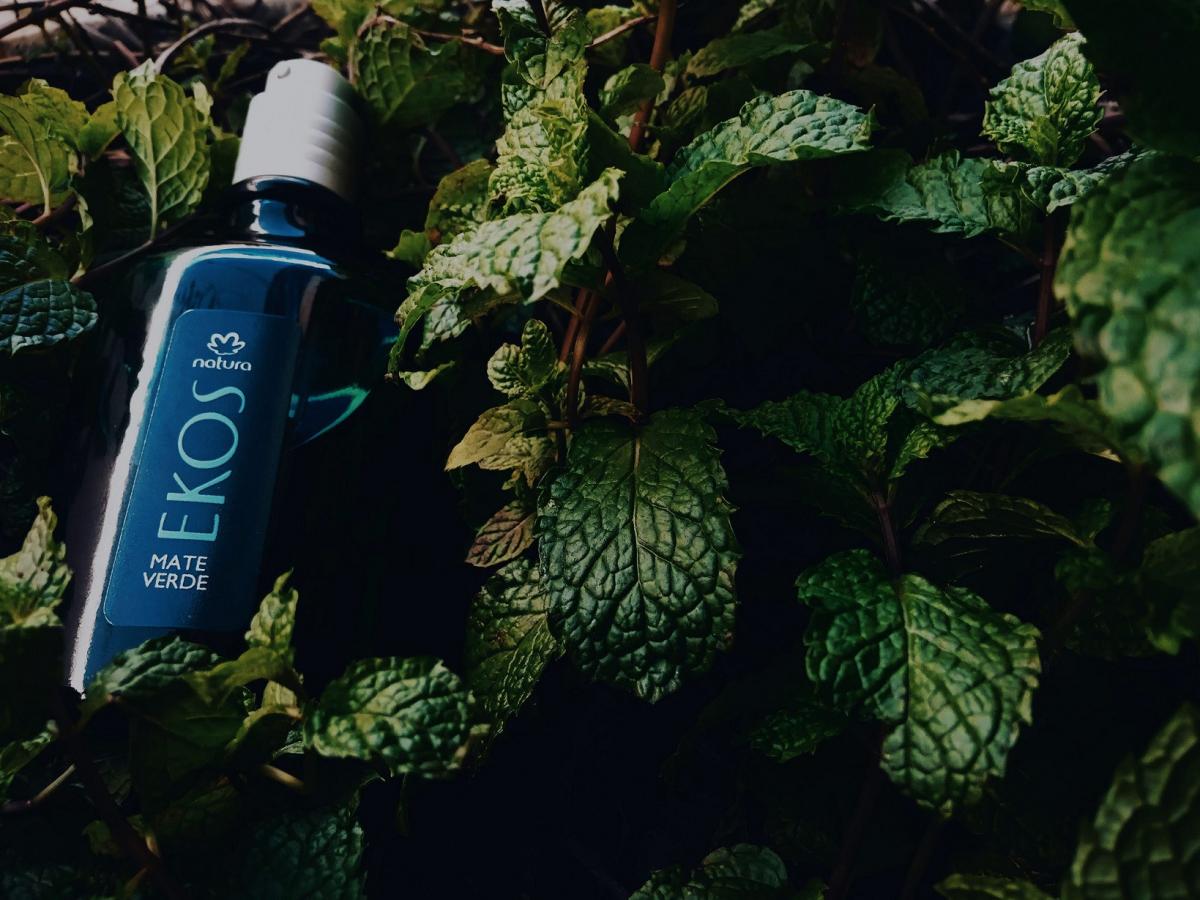 عطر ادکلن میت گرین ناتورا - Mate Green (Mate Verde) Natura - بررسی، قیمت و خرید