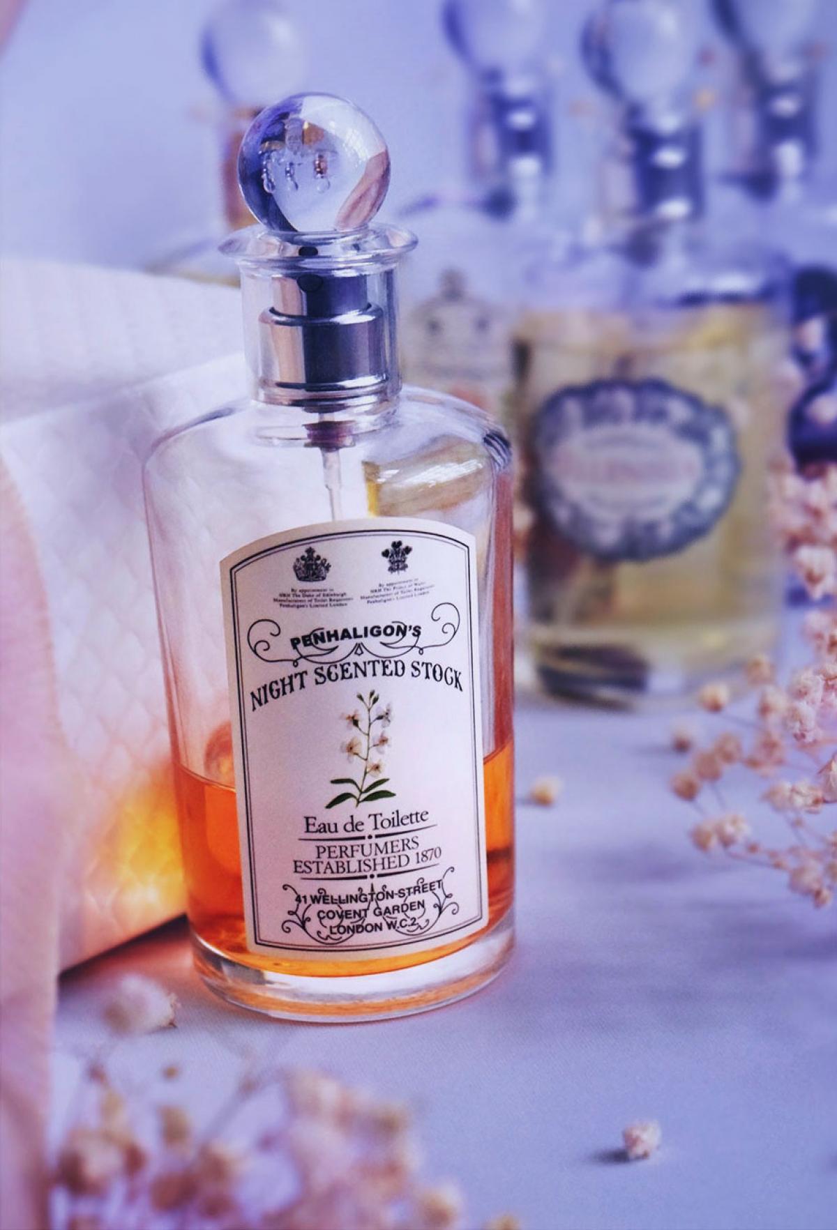 عطر ادکلن نایت سنتد استاک پنالیگونز - Night Scented Stock Penhaligon's - بررسی، قیمت و خرید