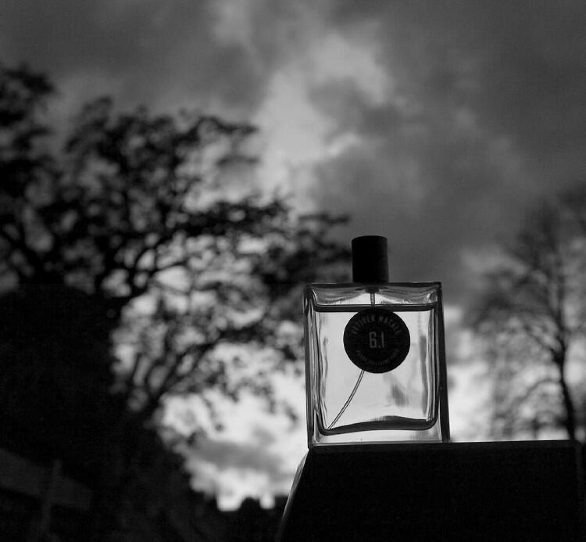 عطر ادکلن وتیور ماتال ۶٫۱ پیر گیلوم پاریس - Vetiver Matale 6.1 Pierre Guillaume Paris - بررسی، قیمت و خرید