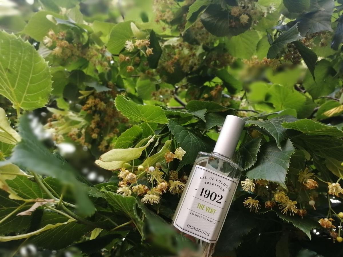 عطر ادکلن نوزده صفر دو د ورت پرفیومز بردو - 1902 The Vert Parfums Berdoues - بررسی، قیمت و خرید