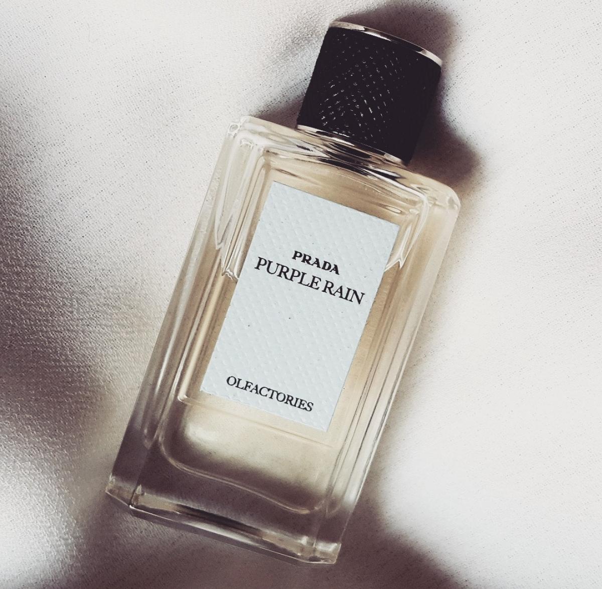 عطر ادکلن پرپل رین پرادا - Purple Rain Prada - بررسی، قیمت و خرید