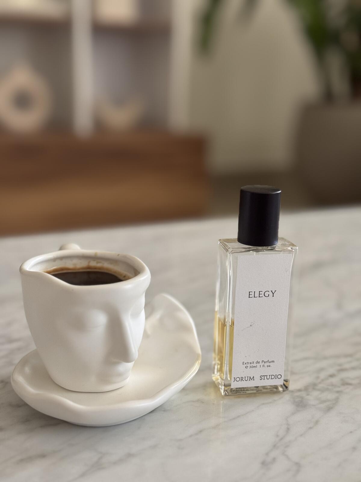 عطر ادکلن الژی جرم استودیو - Elegy Jorum Studio - بررسی، قیمت و خرید