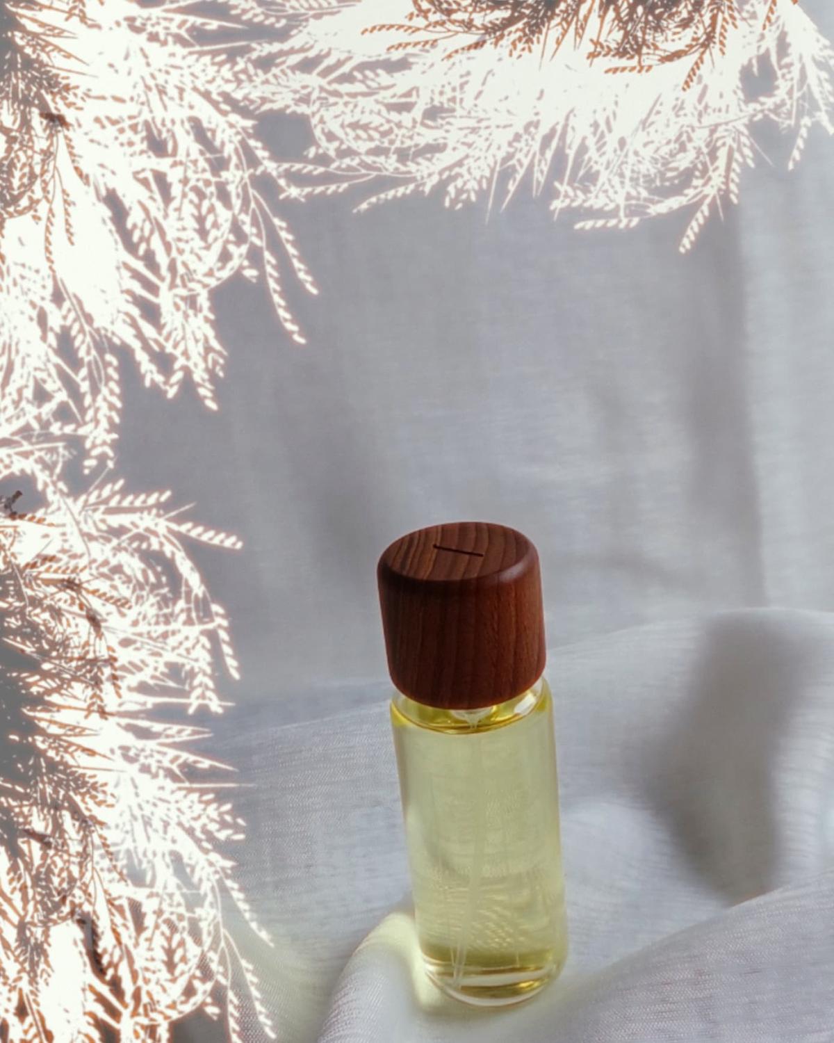 عطر ادکلن ریسو جیجیده - Riso Jijide - بررسی، قیمت و خرید