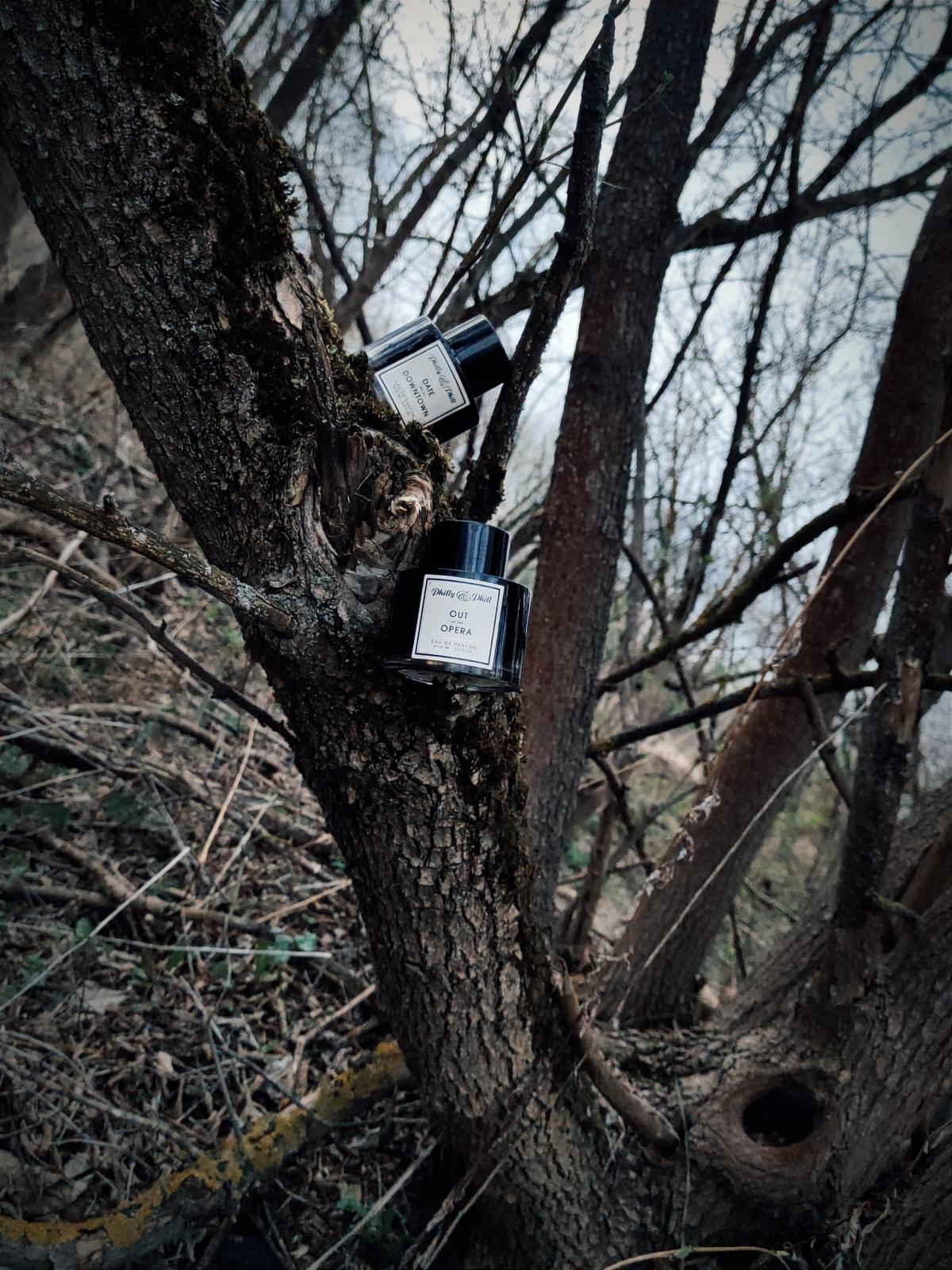 عطر ادکلن دیت می این دانتاون (سنشوال عود) فیلی - Date Me In Downtown (Sensual Oud) Philly&Phill - بررسی، قیمت و خرید