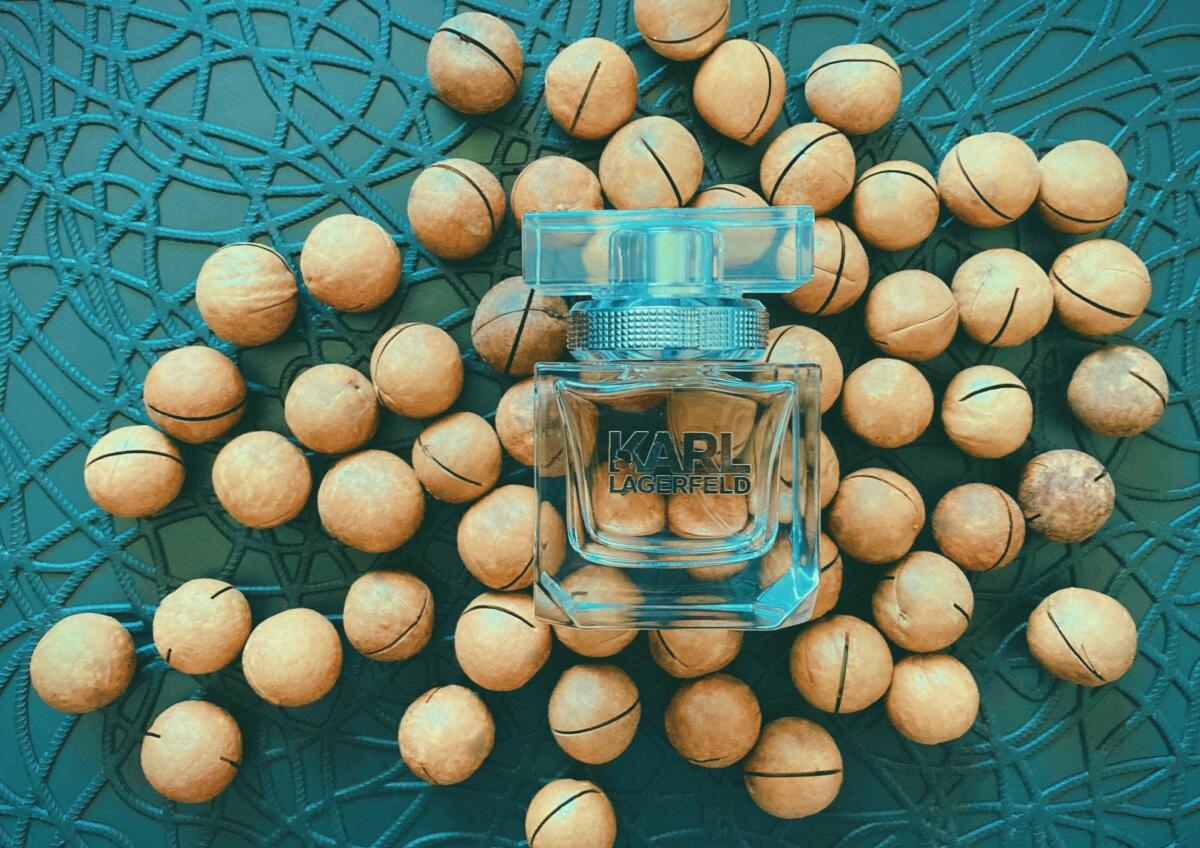 عطر ادکلن کارل لاگرفلد فور هر کارل لاگرفلد - Karl Lagerfeld for Her Karl Lagerfeld - بررسی، قیمت و خرید