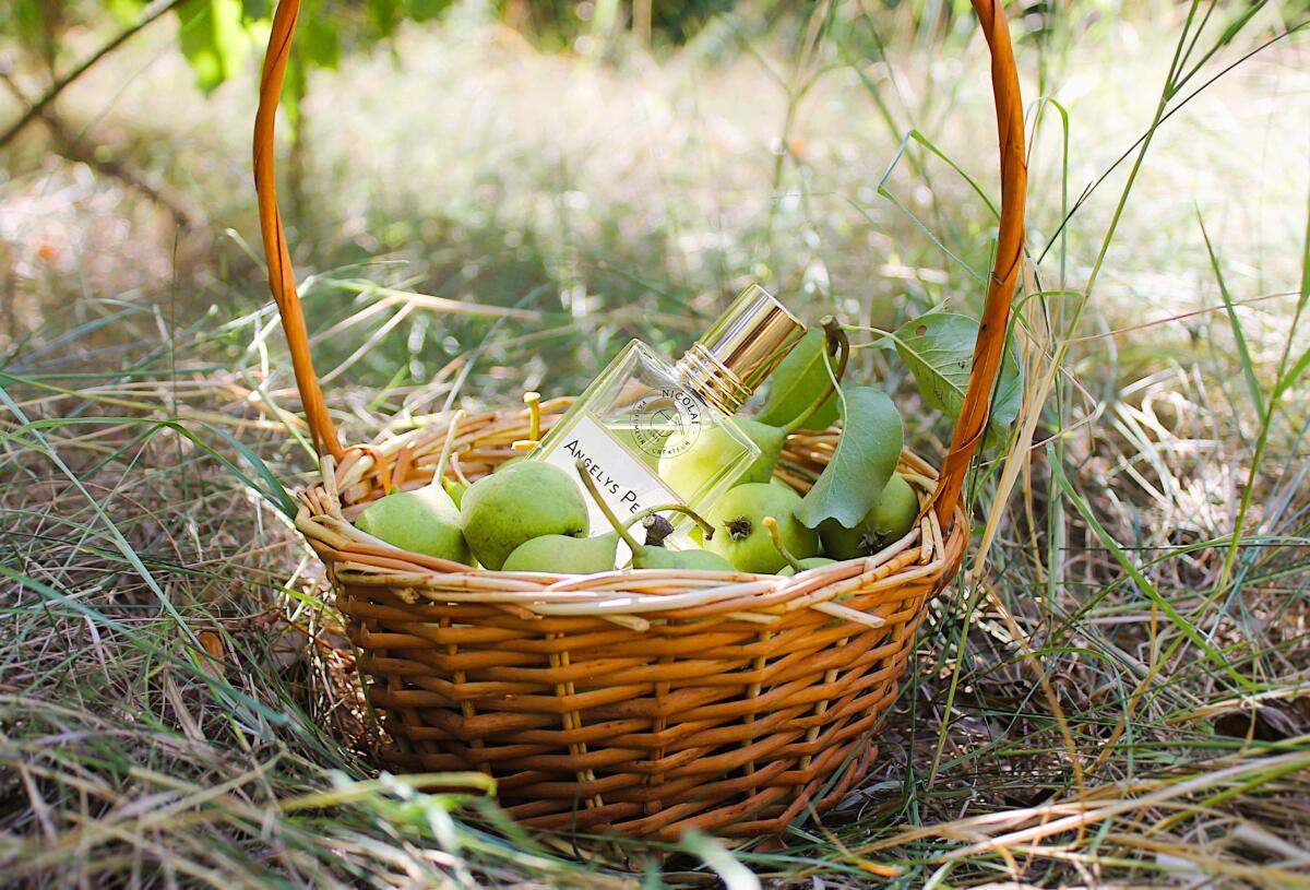 عطر ادکلن انجلیس پیر نیکولای پارفومر کریتور - Angelys Pear Nicolai Parfumeur Createur - بررسی، قیمت و خرید