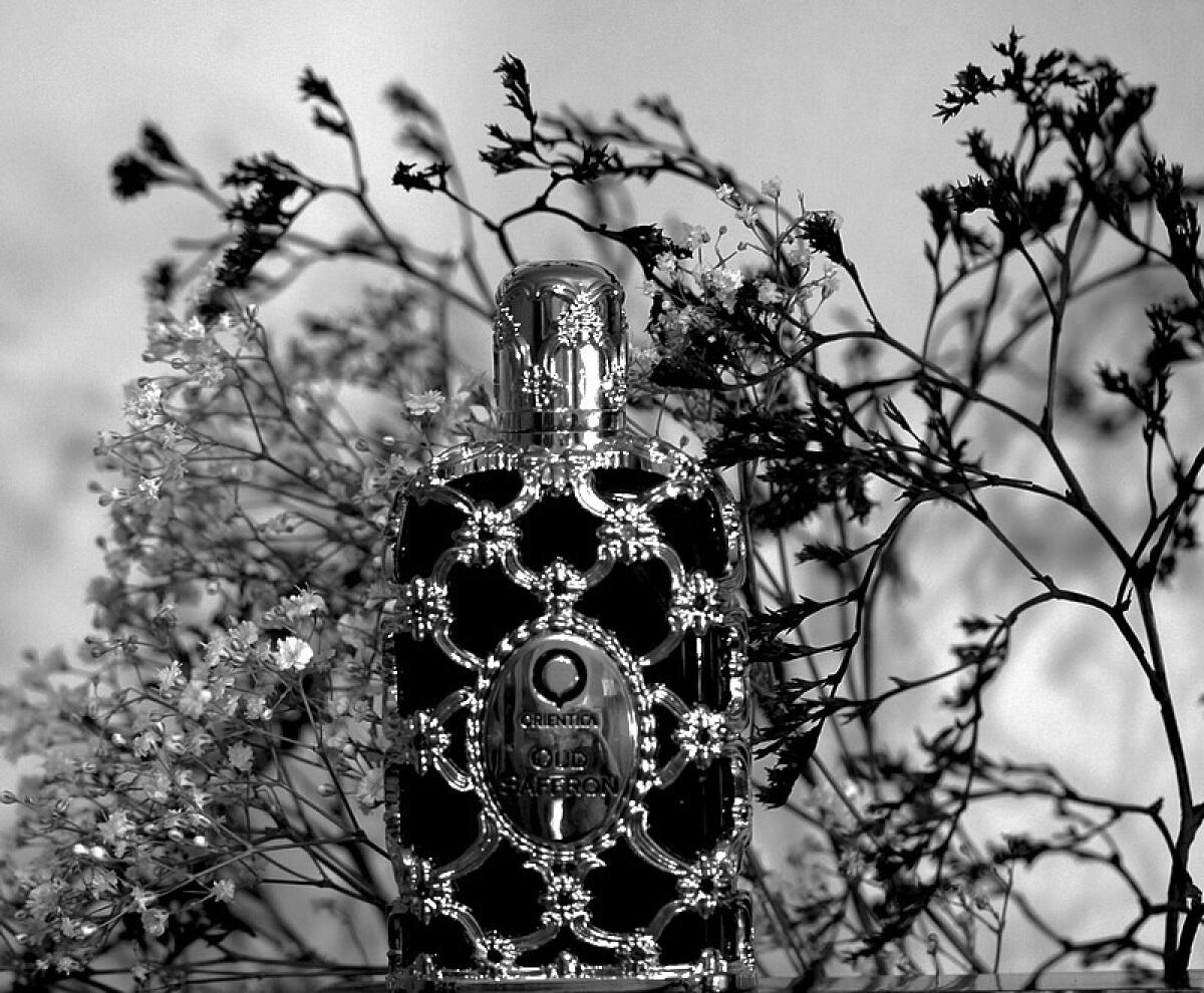 عطر ادکلن عود زعفران اوریِنتیکا پرمیوم - Oud Saffron Orientica Premium - بررسی، قیمت و خرید