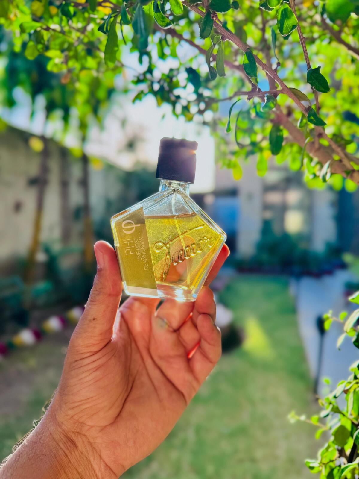 عطر ادکلن اود آگویلاریا اومان لاکچری - Oud Aquilaria Omanluxury - بررسی، قیمت و خرید