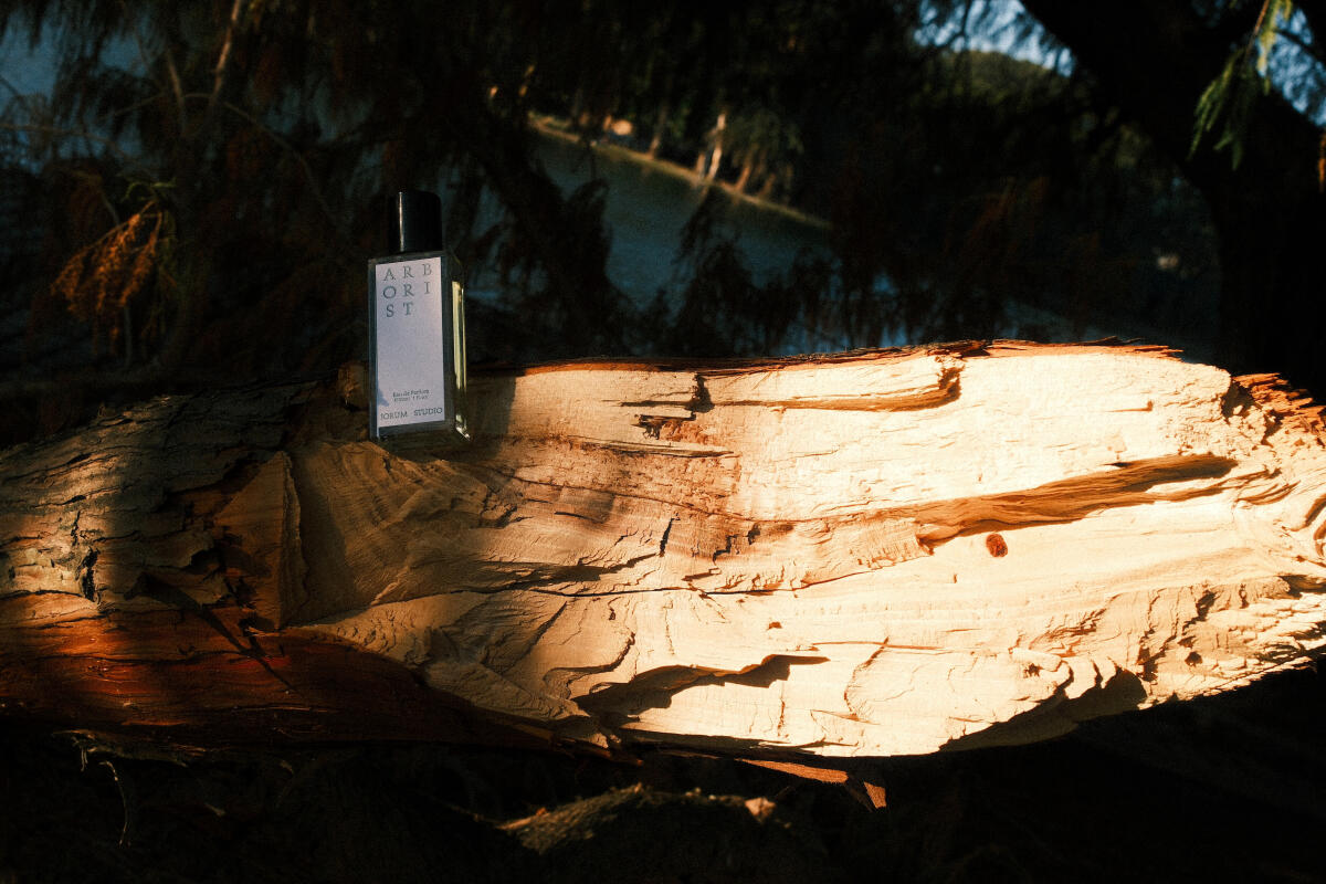 عطر ادکلن آربوریست جوروم استودیو - Arborist Jorum Studio - بررسی، قیمت و خرید