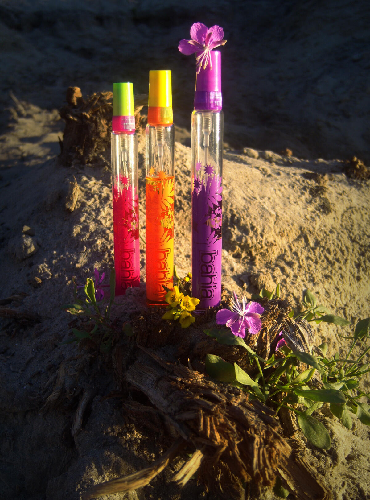 عطر ادکلن بایا سانست اوریف‌لیم - Bahia Sunset Oriflame - بررسی، قیمت و خرید