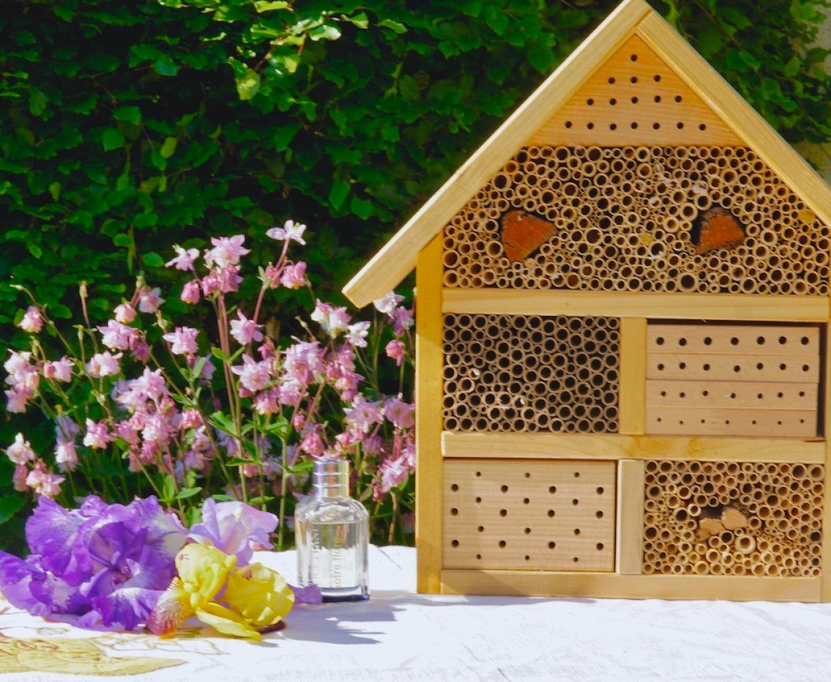 عطر ادکلن نوتغ فلور آیریس لُوکیتان اِن پرووانس - Notre Flore Iris L'Occitane en Provence - بررسی، قیمت و خرید