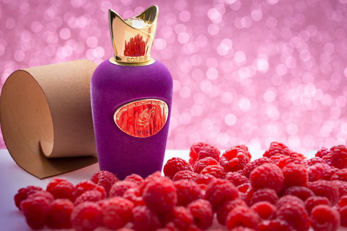 عطر ادکلن میوز سوسپیرو پرفیومز - Muse Sospiro Perfumes - بررسی، قیمت و خرید