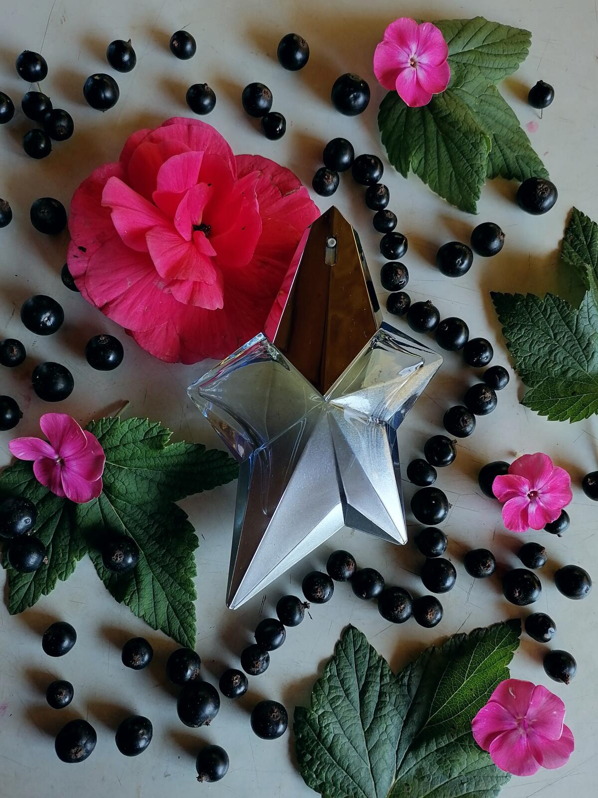 عطر ادکلن آنجل آکوا شیک ۲۰۱۳ موگلر - Angel Aqua Chic 2013 Mugler - بررسی، قیمت و خرید