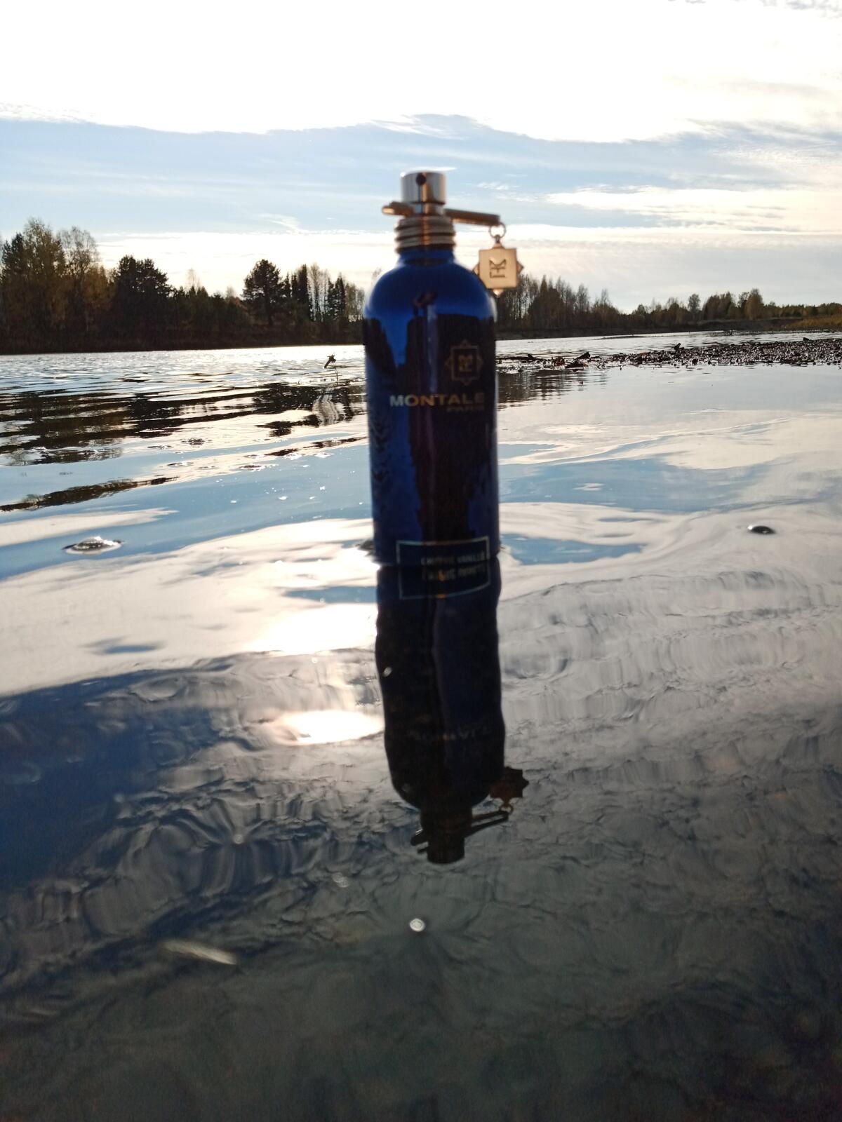 عطر ادکلن چیپر وانیل مانتال - Chypre Vanille Montale - بررسی، قیمت و خرید