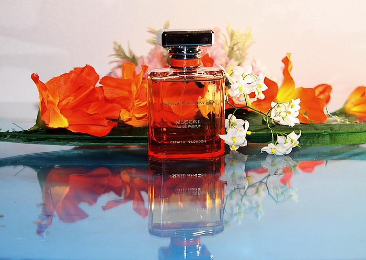 عطر ادکلن ژیان اورموند جین - Xian Ormonde Jayne - بررسی، قیمت و خرید