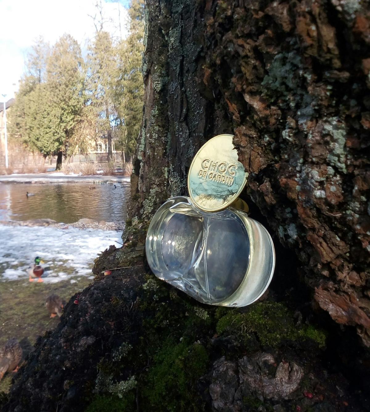 عطر ادکلن شوک د کاردن پیِر کاردَن - Choc de Cardin Pierre Cardin - بررسی، قیمت و خرید