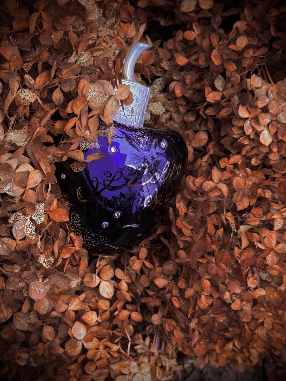 عطر ادکلن استار داست میدنایت فراگرنس لولیتا لمپیکا - Star Dust Midnight Fragrance Lolita Lempicka - بررسی، قیمت و خرید