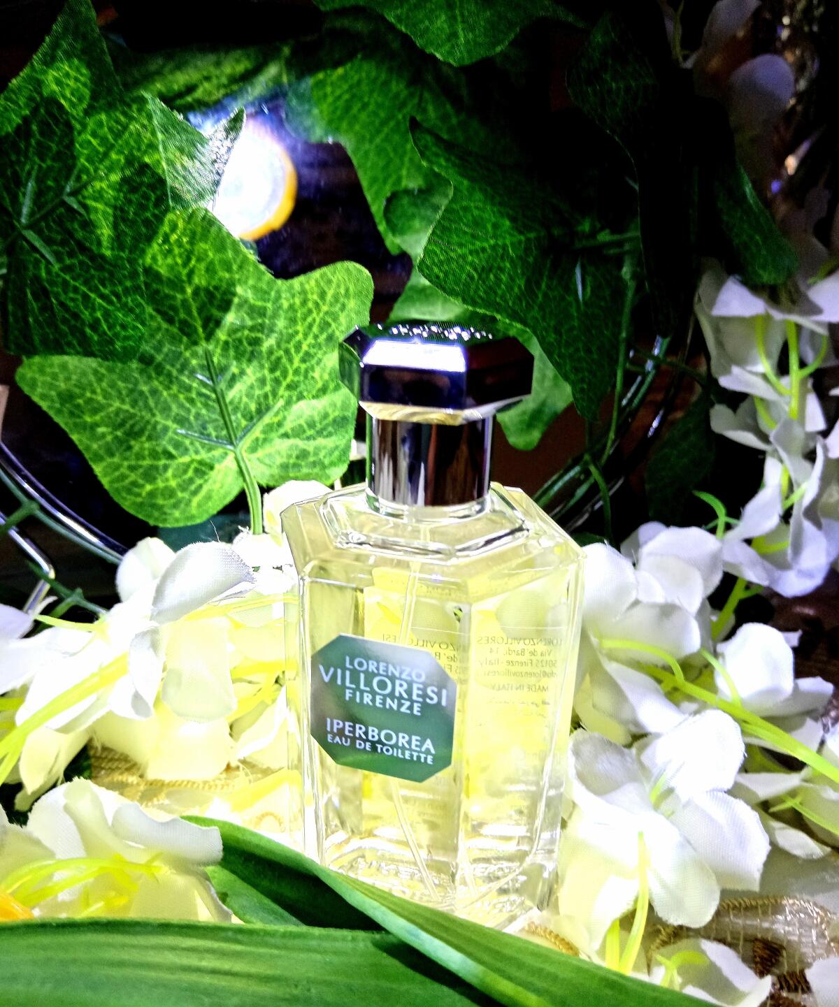 عطر ادکلن ایپربوریا لورنتزو ویلورزی - Iperborea Lorenzo Villoresi - بررسی، قیمت و خرید