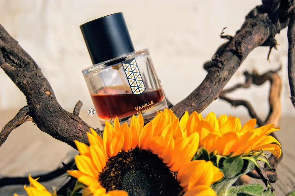 عطر ادکلن وانیل هاوانه کور دو عود لز اندمودابلز - Vanille Havane Coeur de Oud Les Indemodables - بررسی، قیمت و خرید