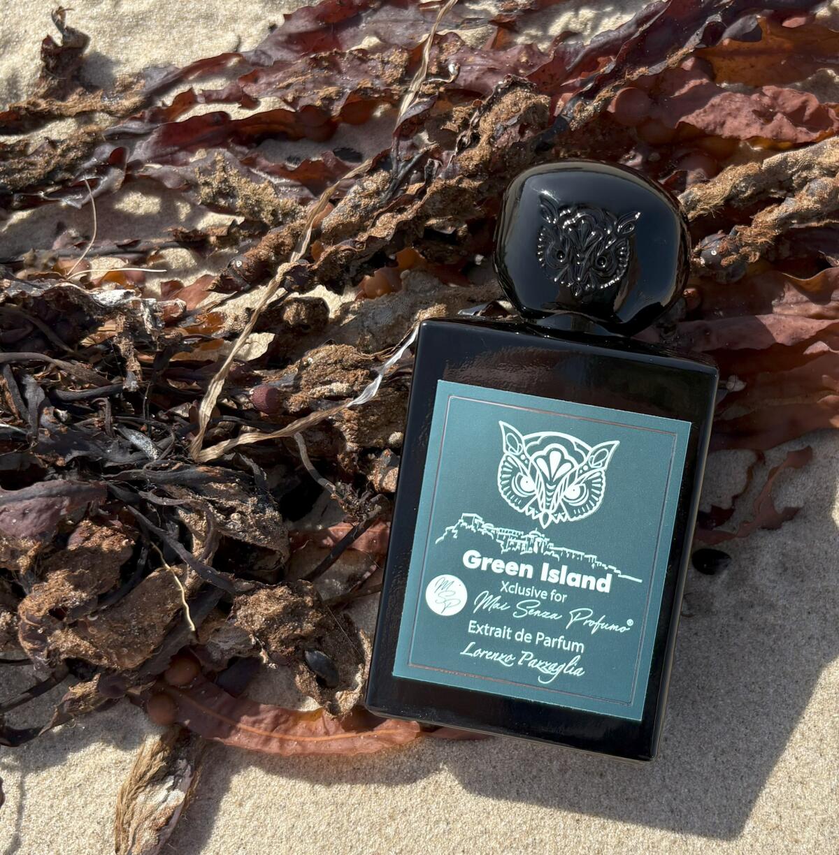 عطر ادکلن گرین آیلند لورنتزو پاتزالیا - Green Island Lorenzo Pazzaglia - بررسی، قیمت و خرید