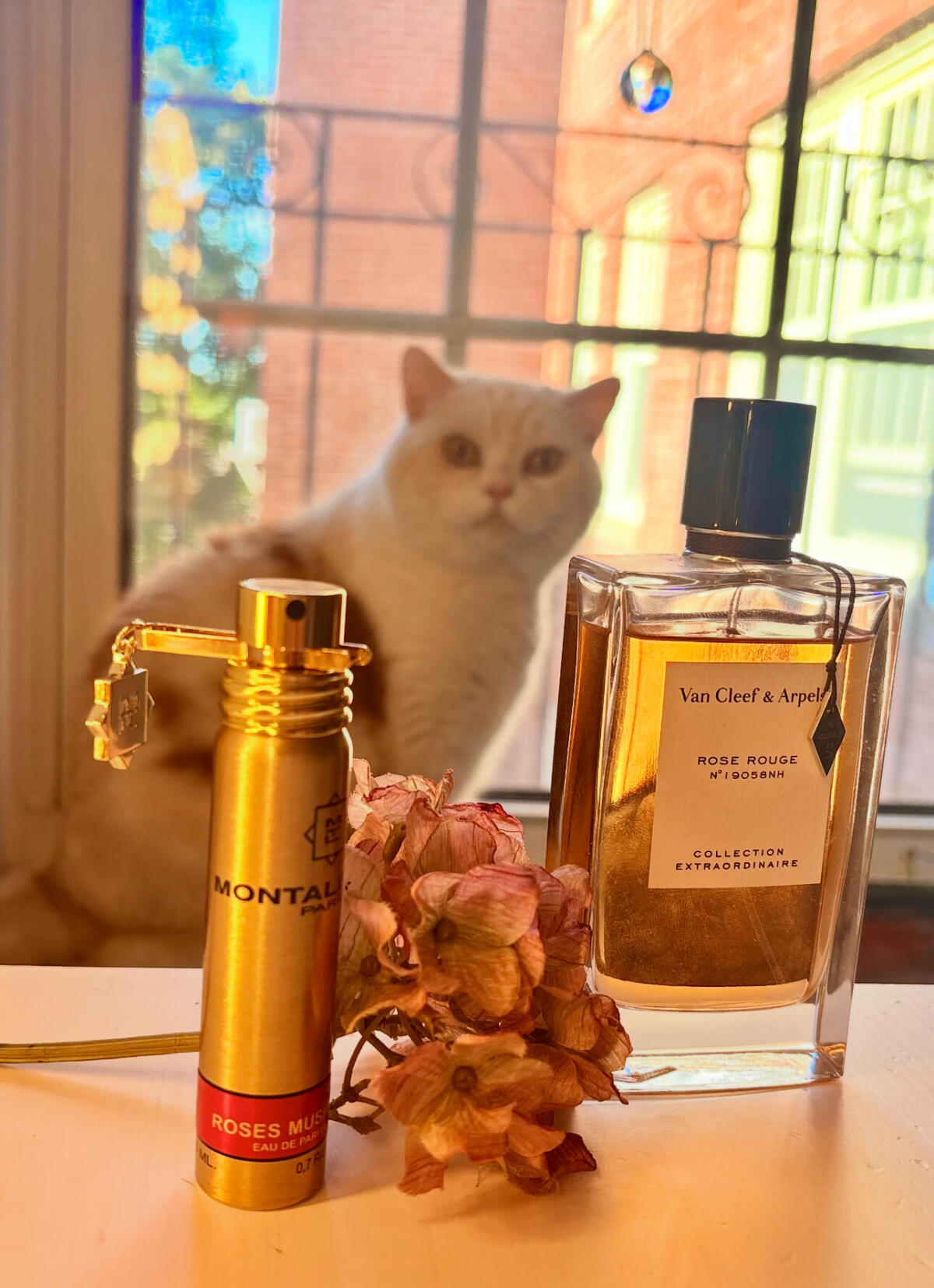 عطر ادکلن رزز ماسک مونتال - Roses Musk Montale - بررسی، قیمت و خرید