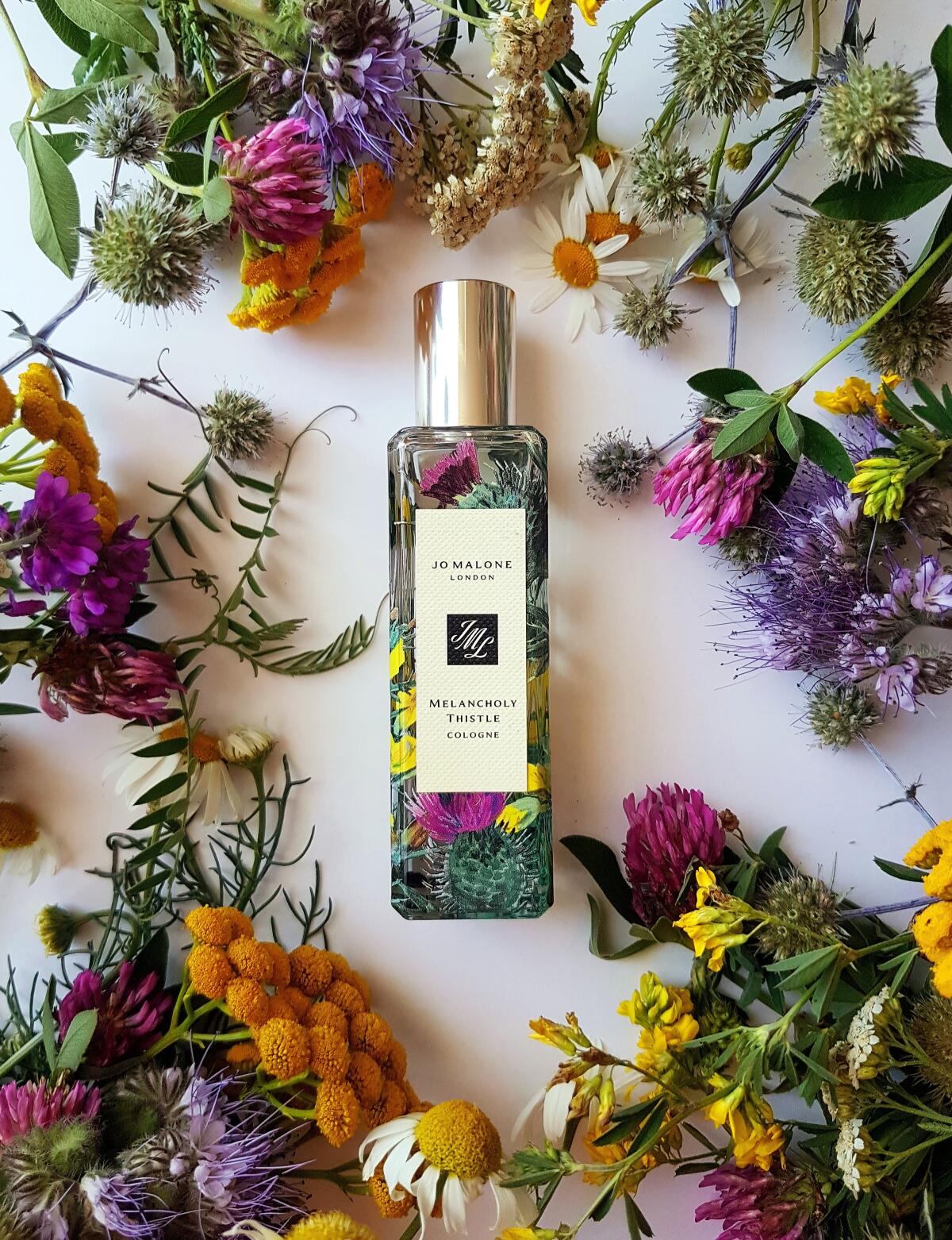 عطر ادکلن ملانکولی تیستل جو مالون لندن - Melancholy Thistle Jo Malone London - بررسی، قیمت و خرید