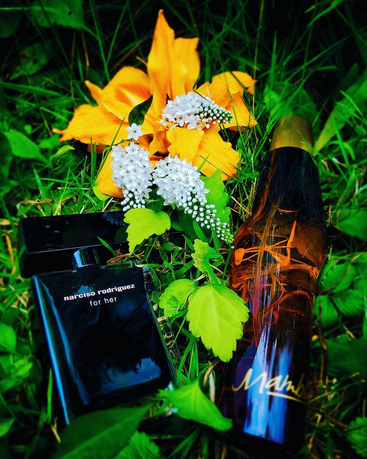 عطر ادکلن ممبو فور من لیز کلیبورن - Mambo for Men Liz Claiborne - بررسی، قیمت و خرید