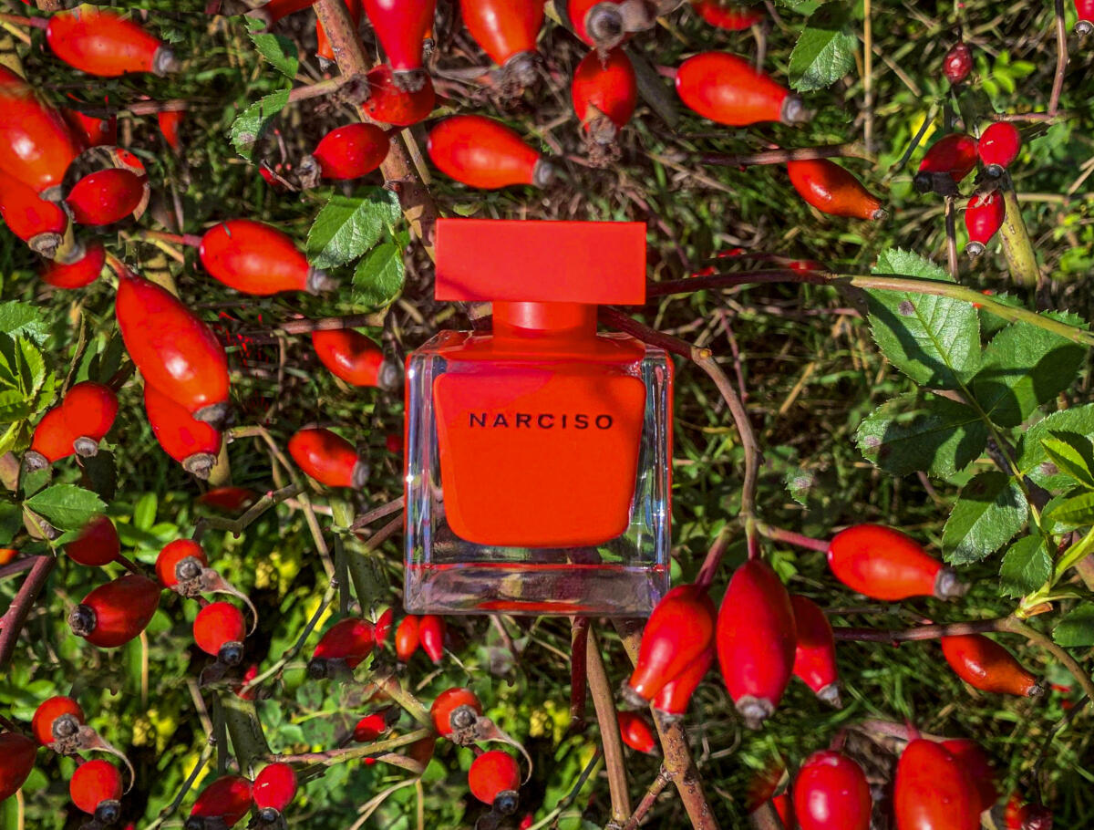 عطر ادکلن نارسیسو رژ نارسیسو رودریگز - Narciso Rouge Narciso Rodriguez - بررسی، قیمت و خرید