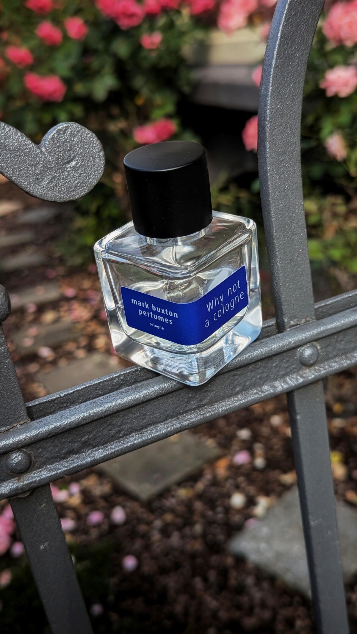 عطر ادکلن وای نات ا کلون مارک باکستون - Why Not A Cologne Mark Buxton - بررسی، قیمت و خرید
