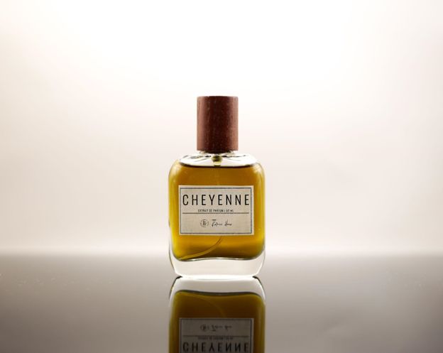 عطر ادکلن شایان پرفیومز کارمیک هیوز - Cheyenne Parfums Karmic Hues - بررسی، قیمت و خرید