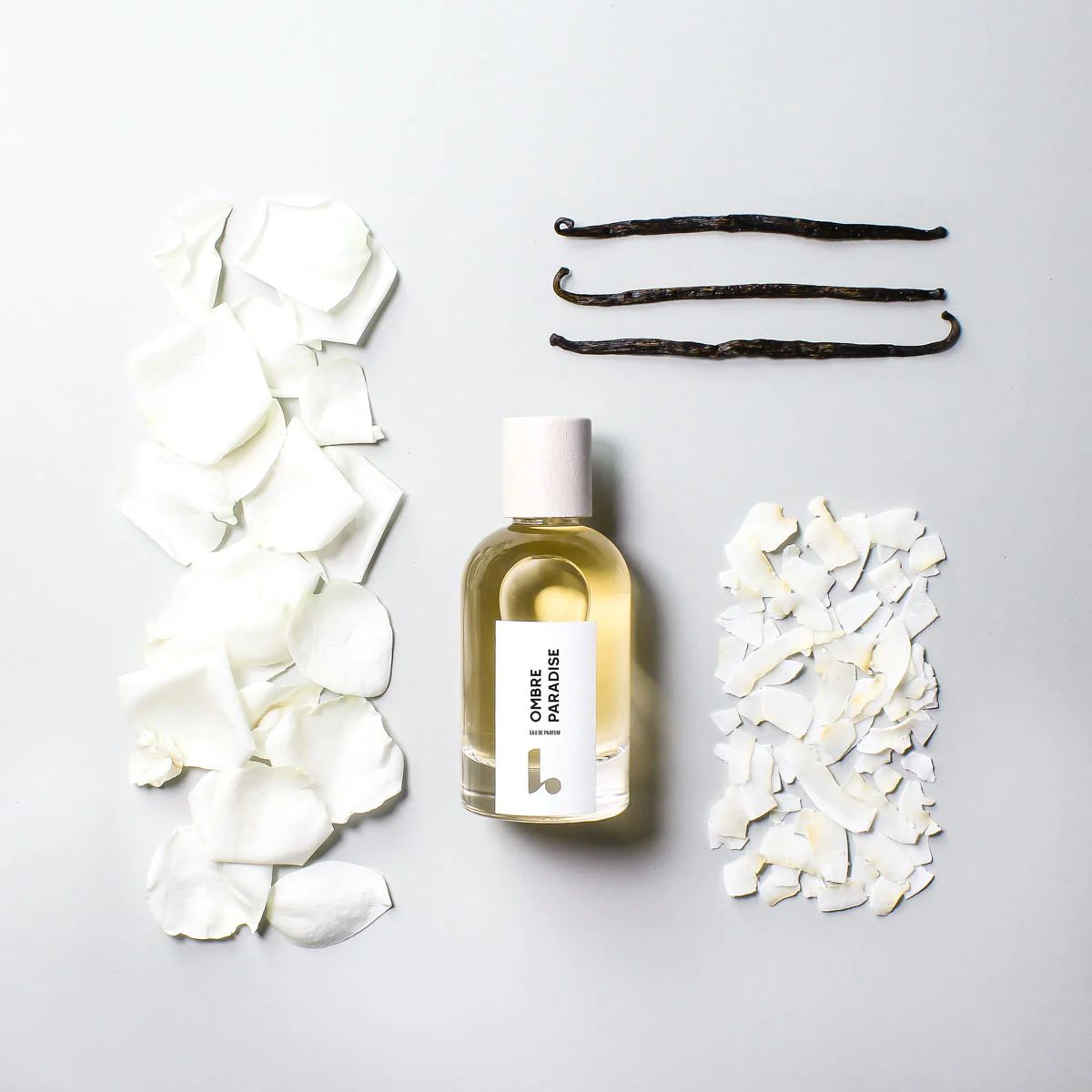 عطر ادکلن آمبره پارادایس لومودوس - Ombre Paradise Lumodos - بررسی، قیمت و خرید