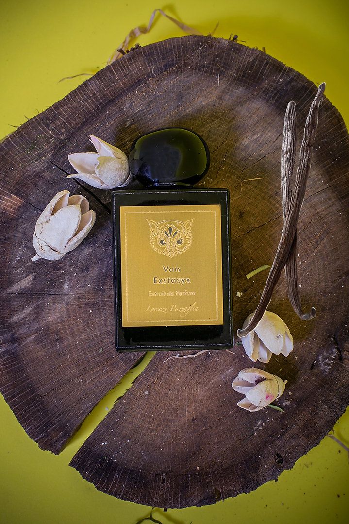 عطر ادکلن ون اکس تا سی اکس لورنتزو پاختزالیا - Van Exstasyx Lorenzo Pazzaglia - بررسی، قیمت و خرید