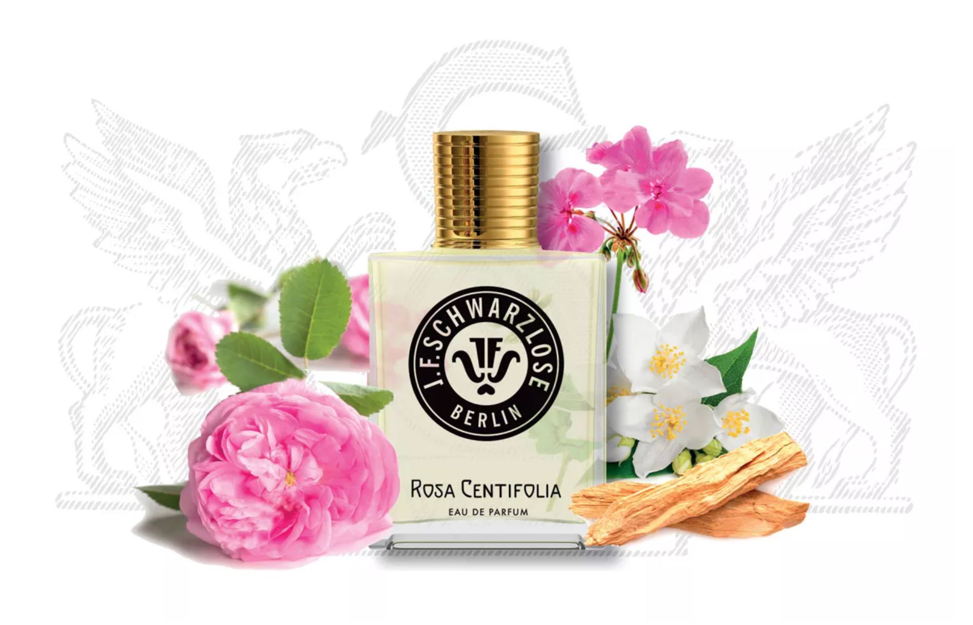 عطر ادکلن رز سانتیفولیا جی اف شوارتزلس برلین - Rosa Centifolia J.F. Schwarzlose Berlin - بررسی، قیمت و خرید