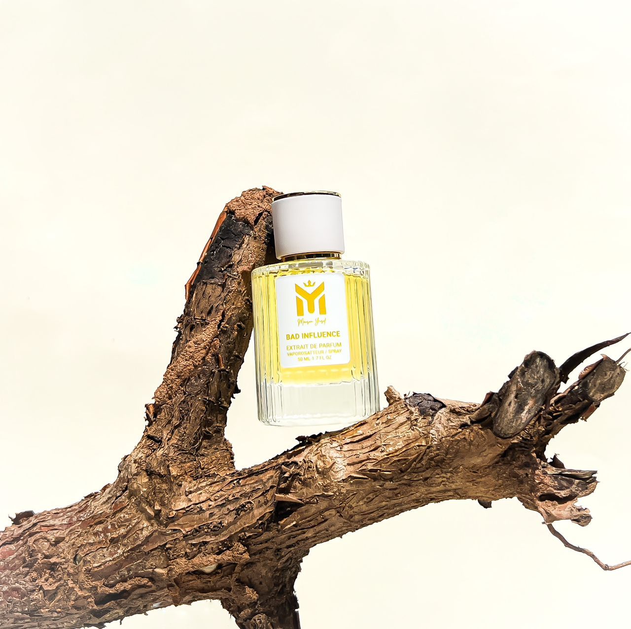عطر ادکلن بد اینفلوئنس میسون یوسف - Bad Influence Maison Yusif - بررسی، قیمت و خرید