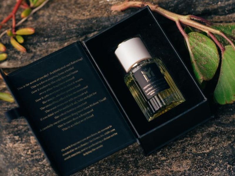 عطر ادکلن دیپر دن وردز میزان یوسف - Deeper Than Words Maison Yusif - بررسی، قیمت و خرید