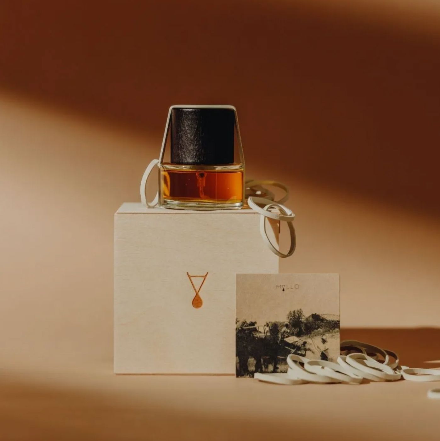 عطر ادکلن اوتو مالو - OTO Mallo - بررسی، قیمت و خرید