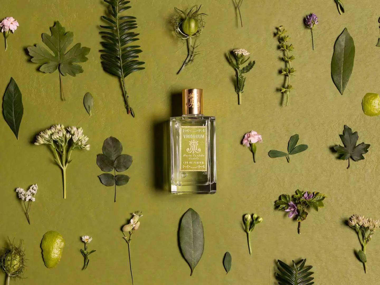 عطر ادکلن ویریداریوم ماریا کانديدا جنتیله - Viridarium Maria Candida Gentile - بررسی، قیمت و خرید