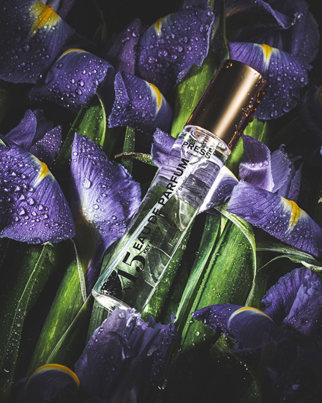 عطر ادکلن نامبر فیفتین پرس گورویتس پرفیومری - No. 15 Press Gurwitz Perfumerie - بررسی، قیمت و خرید