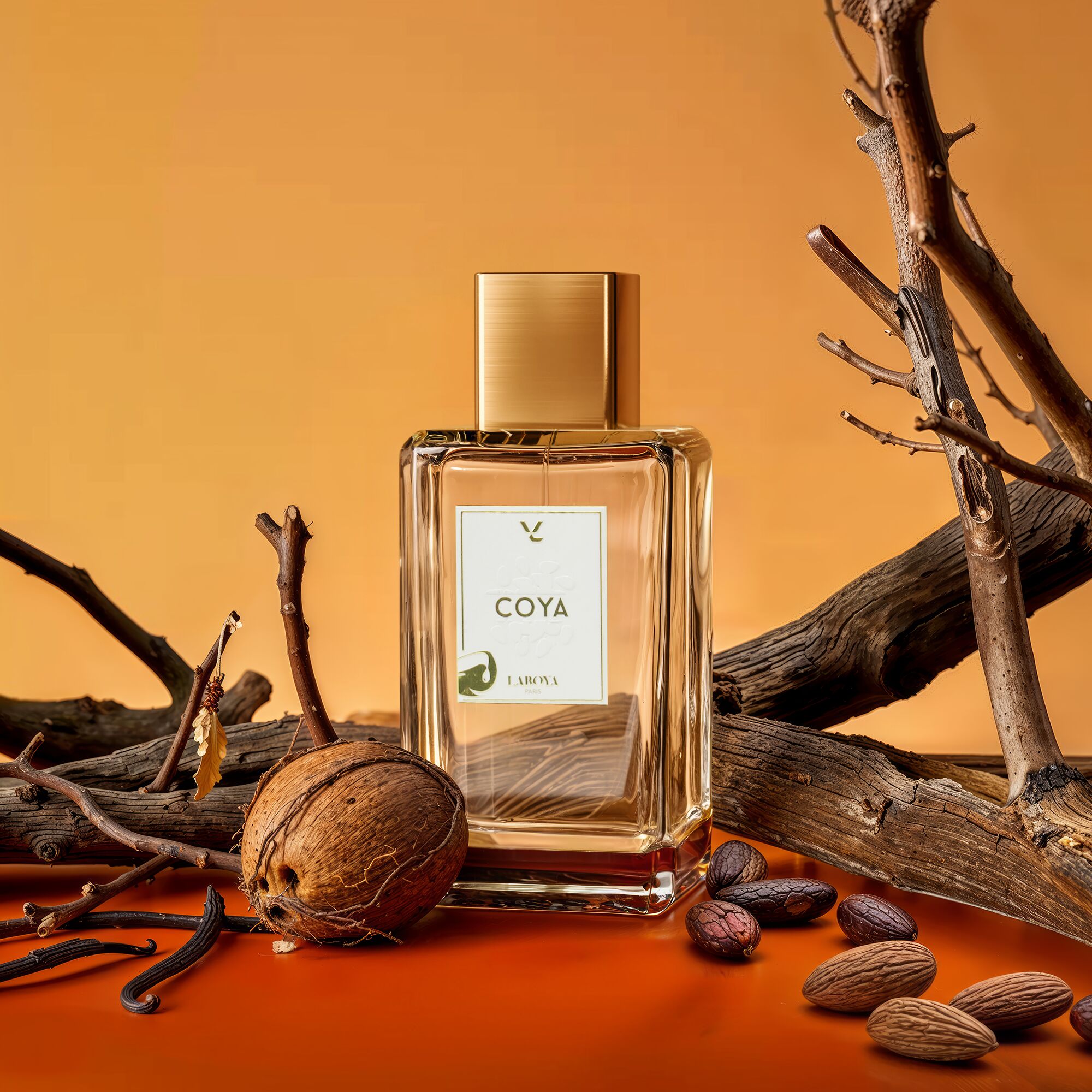 عطر ادکلن کُیا لابویا پاریس - Coya Laboya Paris - بررسی، قیمت و خرید