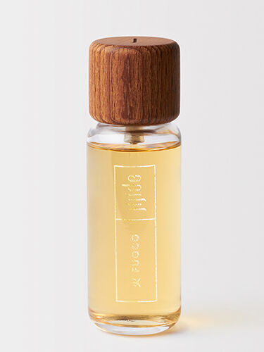 عطر ادکلن فووکو جیجیده - Fuoco Jijide - بررسی، قیمت و خرید