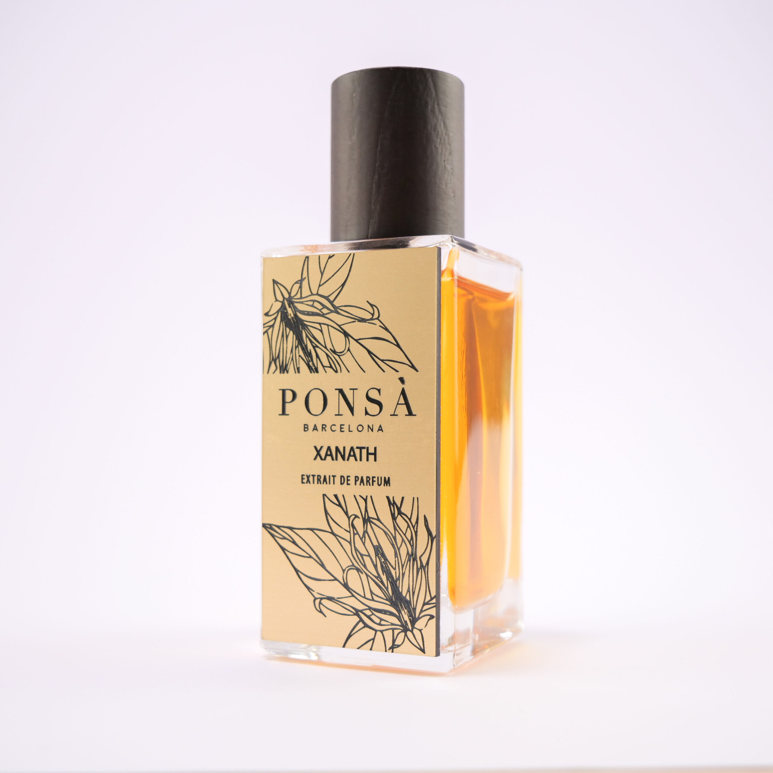 عطر ادکلن زنت پونسا - Xanath Ponsa - بررسی، قیمت و خرید